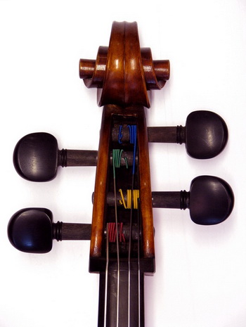 Cello pegbox